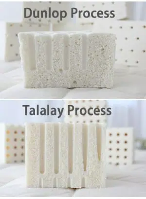 Discover The Difference Between Dunlop And Talalay Latex Pillow 1501 - Discover The Difference Between Dunlop And Talalay Latex Pillow