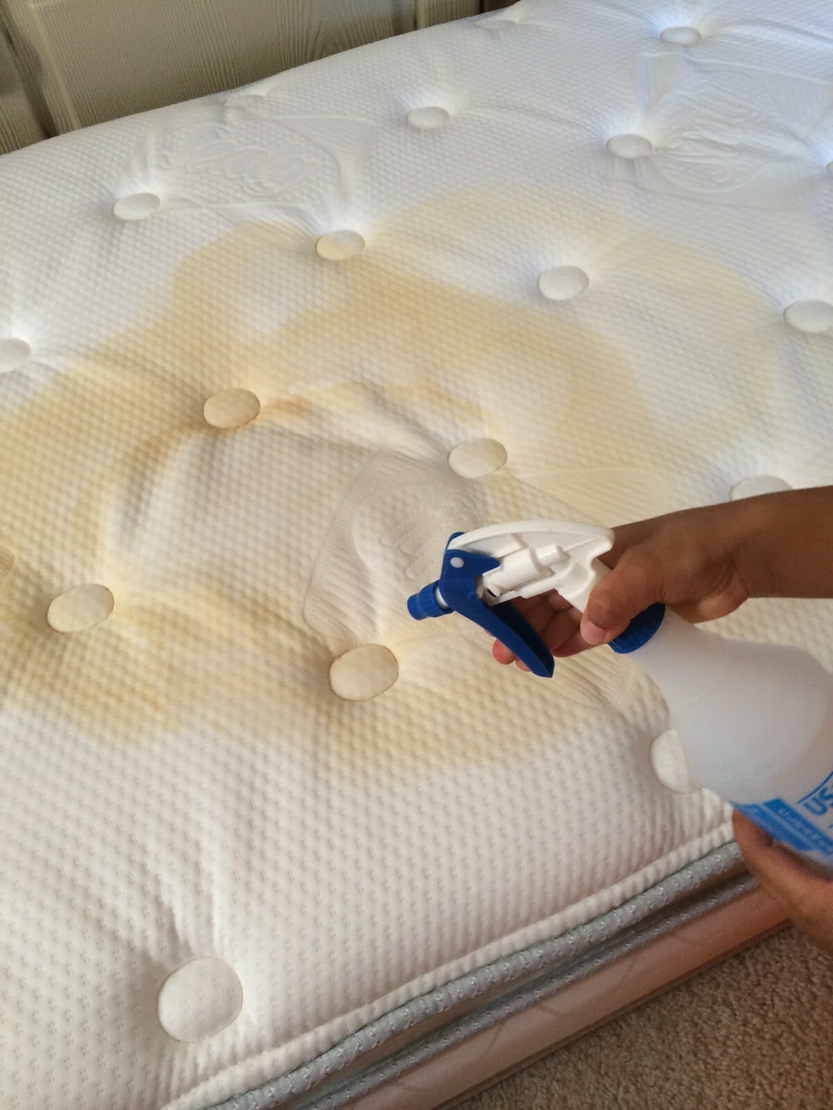 How To Clean A Futon Mattress Of Urine A Step by Step Guide Top Good 